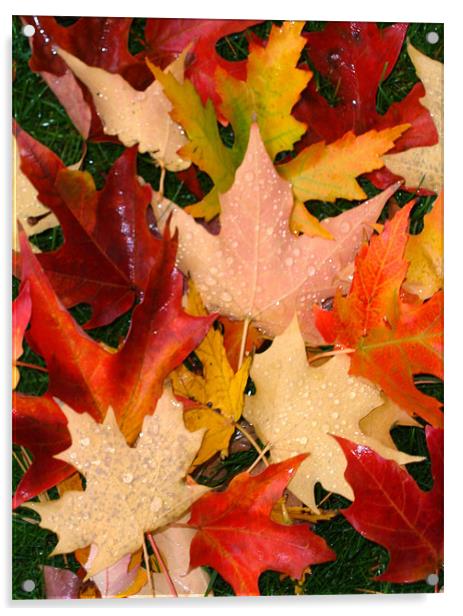 Autumn leaves Acrylic by Donna-Marie Parsons