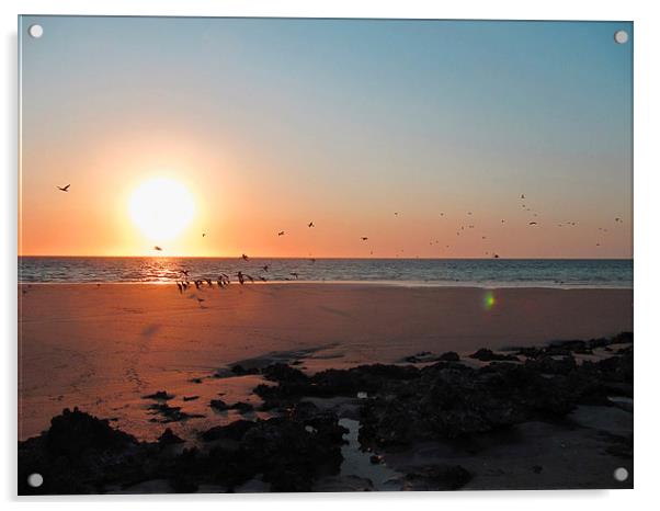 Coral Bay Sunset 2 Acrylic by Luke Newman