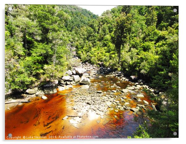 Falls River, Abel Tasman Acrylic by Luke Newman