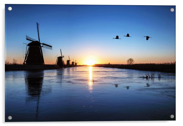 Heron flying over the frozen Kinderdijk Sunrise Acrylic by Ankor Light