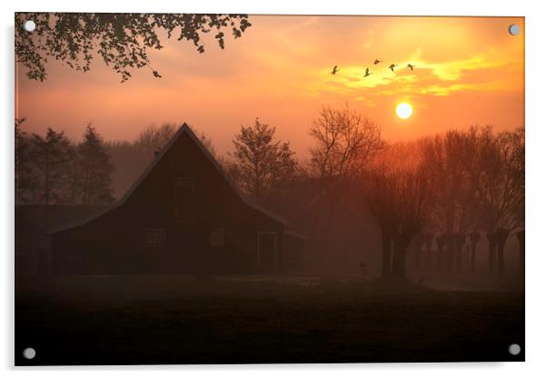 Geese flying at the sunrise in Zaanse Schans, Neth Acrylic by Ankor Light