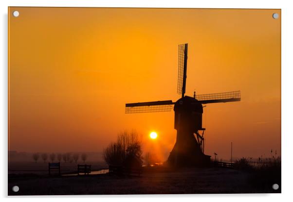 Warm sunrise on the Kinderdijk windmill in Rotterd Acrylic by Ankor Light