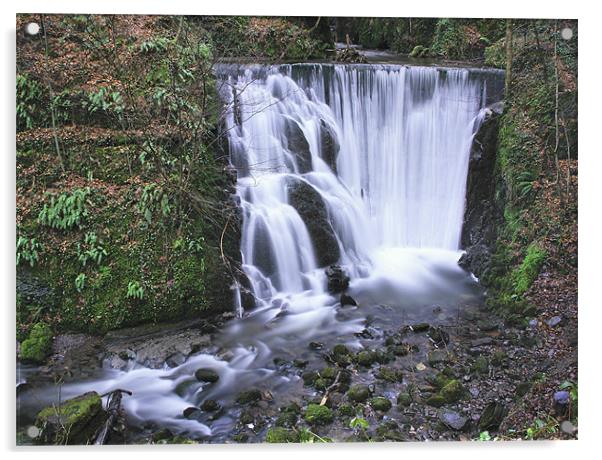 Alva Glen Waterfall Acrylic by Buster Brown