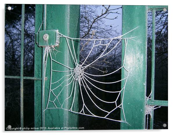 Frozen Spiders Web Acrylic by philip milner