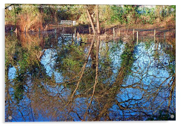 Tree Reflections Acrylic by philip milner