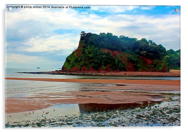 A View From Teignmouth Acrylic by philip milner