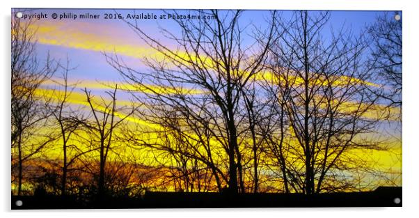 Arley Woods In Sunrise Acrylic by philip milner