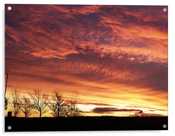 Sunrise over Falkirk Acrylic by Dawn Gillies