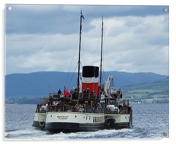 The Waverley Paddle Steamer Acrylic by Dawn Gillies