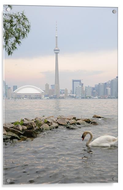 Toronto City Skyline Acrylic by DROO Photographer