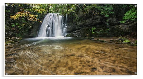 Janets Foss II Acrylic by stuart bennett