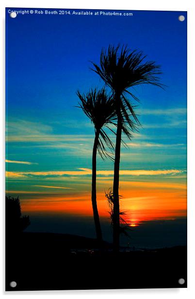 Sunset Palms Acrylic by Rob Booth