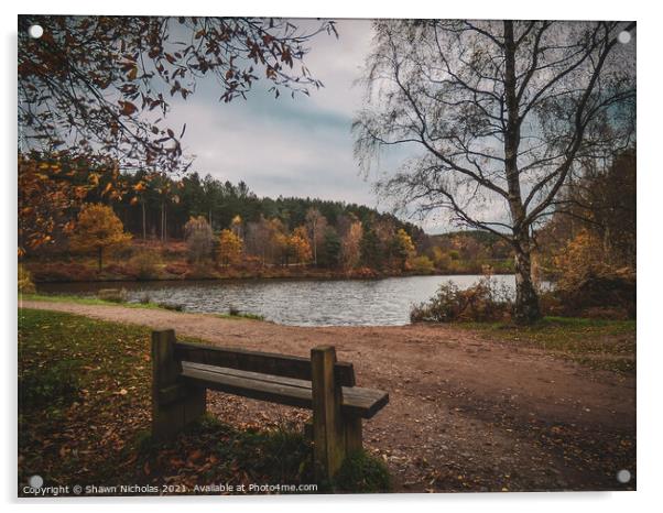 Autumn Landscape looking over the Lake in Cannock Chase, Staffordshire Acrylic by Shawn Nicholas