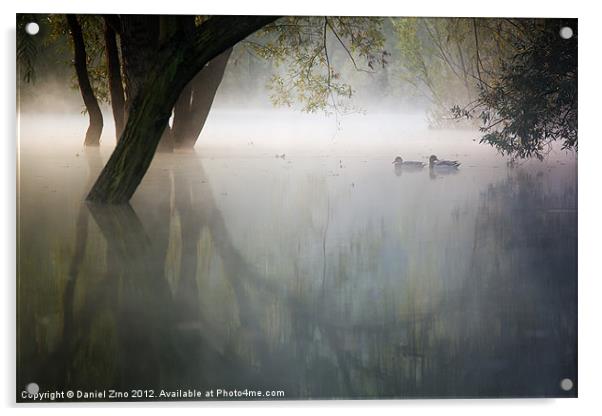 Ducks on Bundek Ghost Lake Acrylic by Daniel Zrno