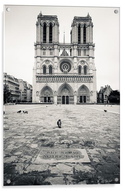Notre Dame Acrylic by Daniel Zrno