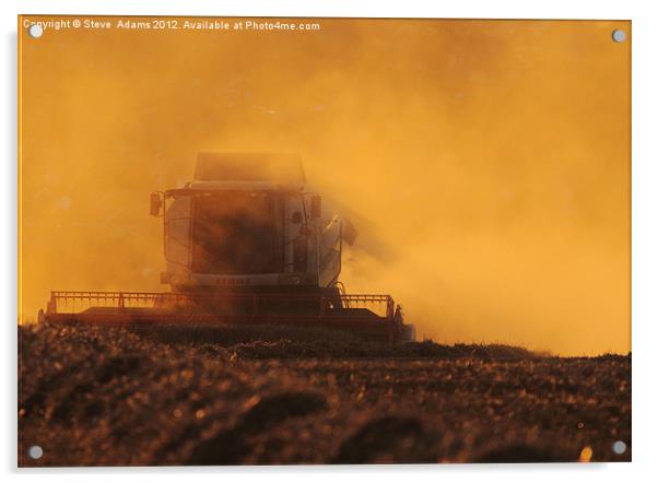 Evening Harvest Acrylic by Steve Adams