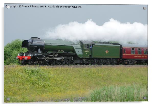 Flying Scotsman Acrylic by Steve Adams