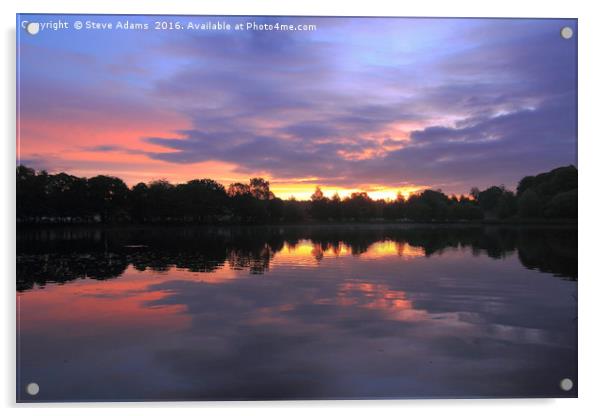 Wollaton sunrise Acrylic by Steve Adams