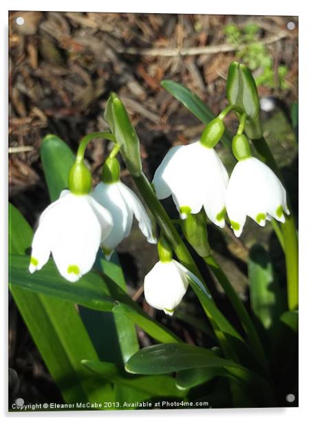 Spring white Bells! Acrylic by Eleanor McCabe