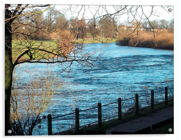 Winter at the River Eden 1 Acrylic by Eleanor McCabe