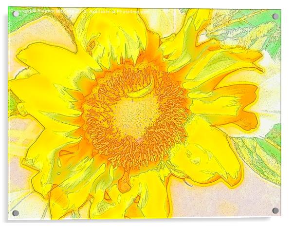  Summer Sunshine Clock Acrylic by Eleanor McCabe