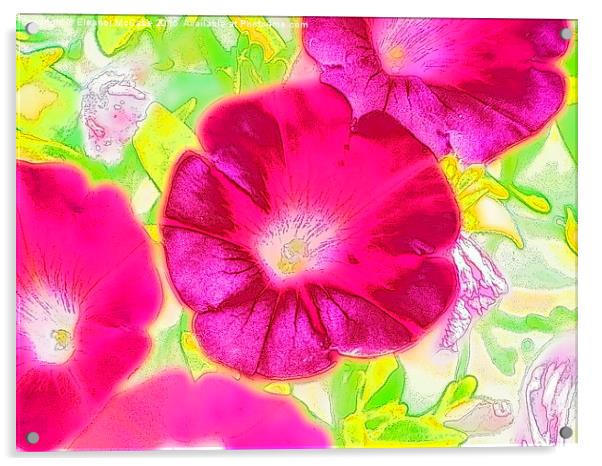  Summer Raspberry Beauty Acrylic by Eleanor McCabe