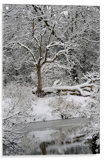 winters day 2 Acrylic by linda cook