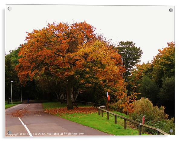 colours of autumn Acrylic by linda cook