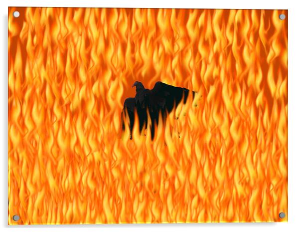 Firebird Acrylic by Stephanie Clayton