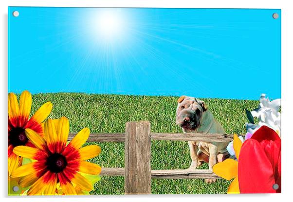 The Dog Days of Summer Acrylic by Stephanie Clayton