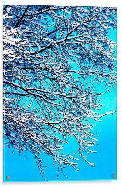 Winter Bliss Acrylic by Stephanie Clayton