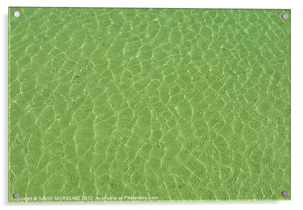 SHALLOW WATER Acrylic by David Moreline