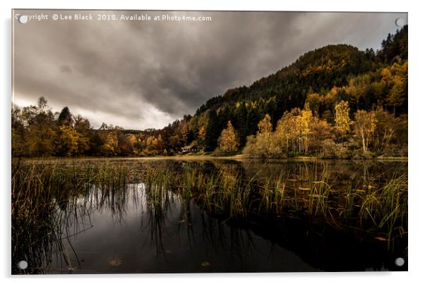 Polney Loch, Dunkeld Acrylic by Lee Black