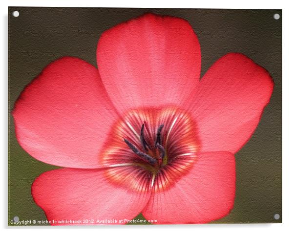 Wild Flower Acrylic by michelle whitebrook