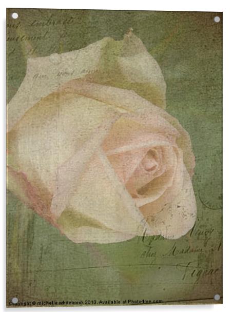 Vintage Rose 6 Acrylic by michelle whitebrook