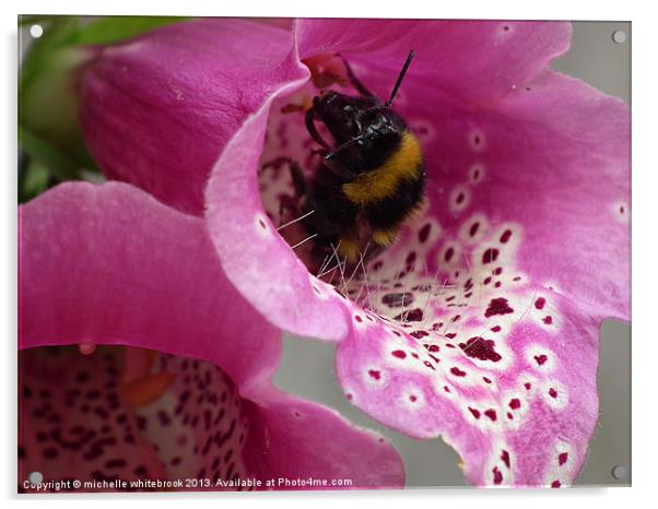 Busy Bee 3 Acrylic by michelle whitebrook