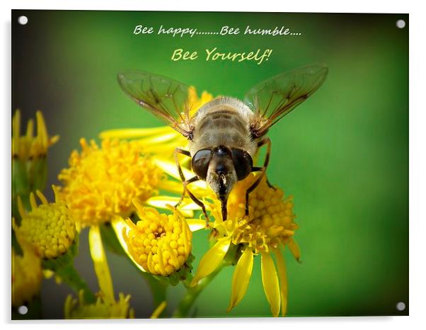  Honey bee Acrylic by michelle whitebrook