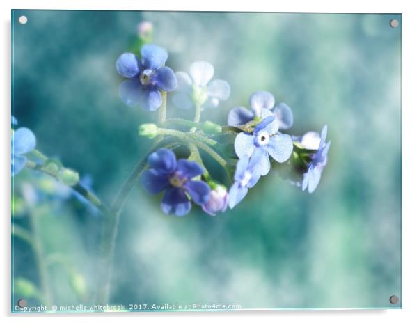 Dreamy Forget Me Not Acrylic by michelle whitebrook