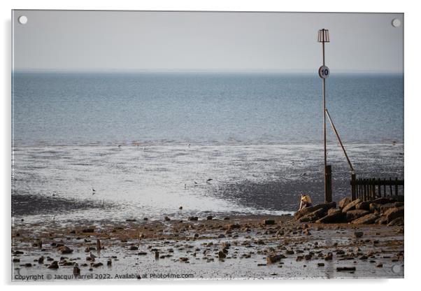 Hunstanton Seascape  Acrylic by Jacqui Farrell