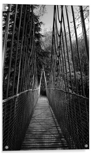 Alnwick Garden Suspension Bridge  Acrylic by Jacqui Farrell