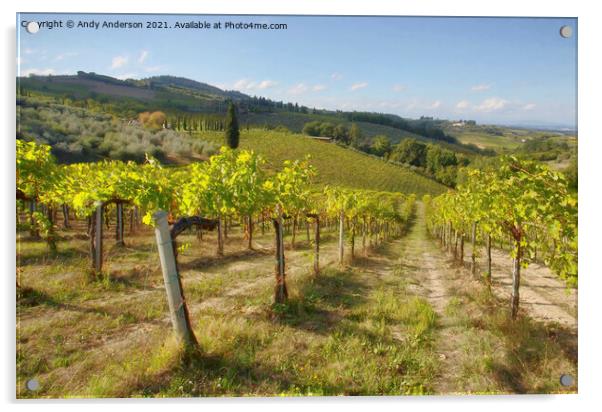 Tuscan Vineyard Acrylic by Andy Anderson