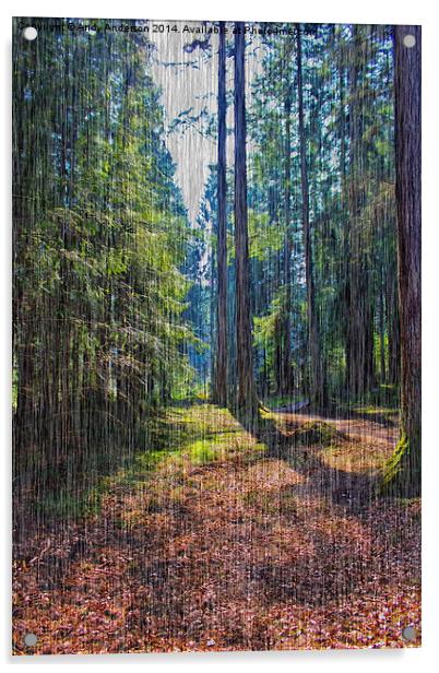 Rain in the Forest Acrylic by Andy Anderson
