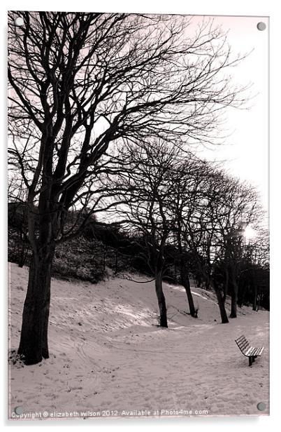 Trees in the Snow Acrylic by Elizabeth Wilson-Stephen