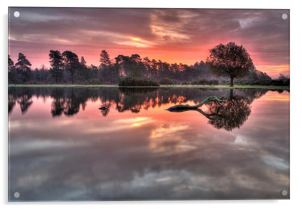 Misty Morning Sunrise at the Pond Acrylic by Jennie Franklin
