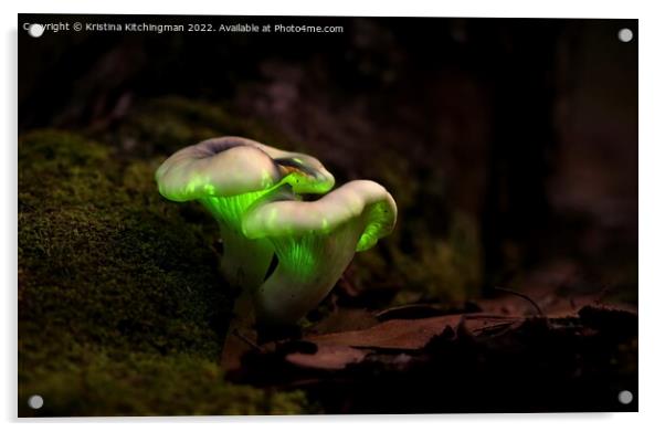 Natures Glow Acrylic by Kristina Kitchingman