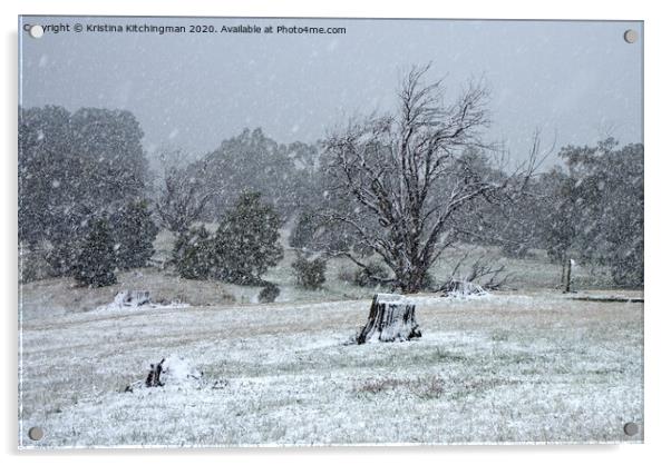 Snowing over the falls reserve Acrylic by Kristina Kitchingman