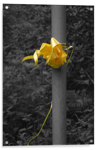 Yellow Ribbon Acrylic by Liam Ellis