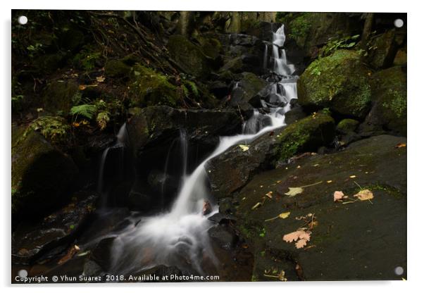 Lumsdale Falls 9.0                  Acrylic by Yhun Suarez