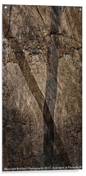 Wooden textures Acrylic by Alfani Photography