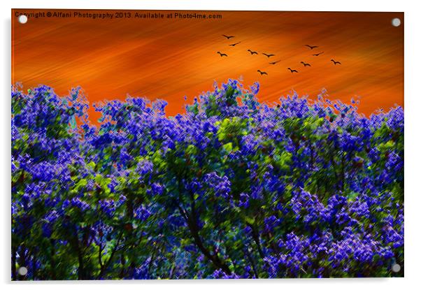 Purple-blue forest Acrylic by Alfani Photography